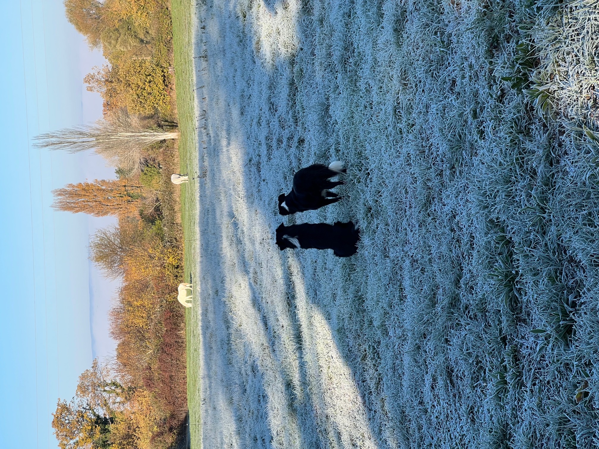 Vue sur les champs environnants
