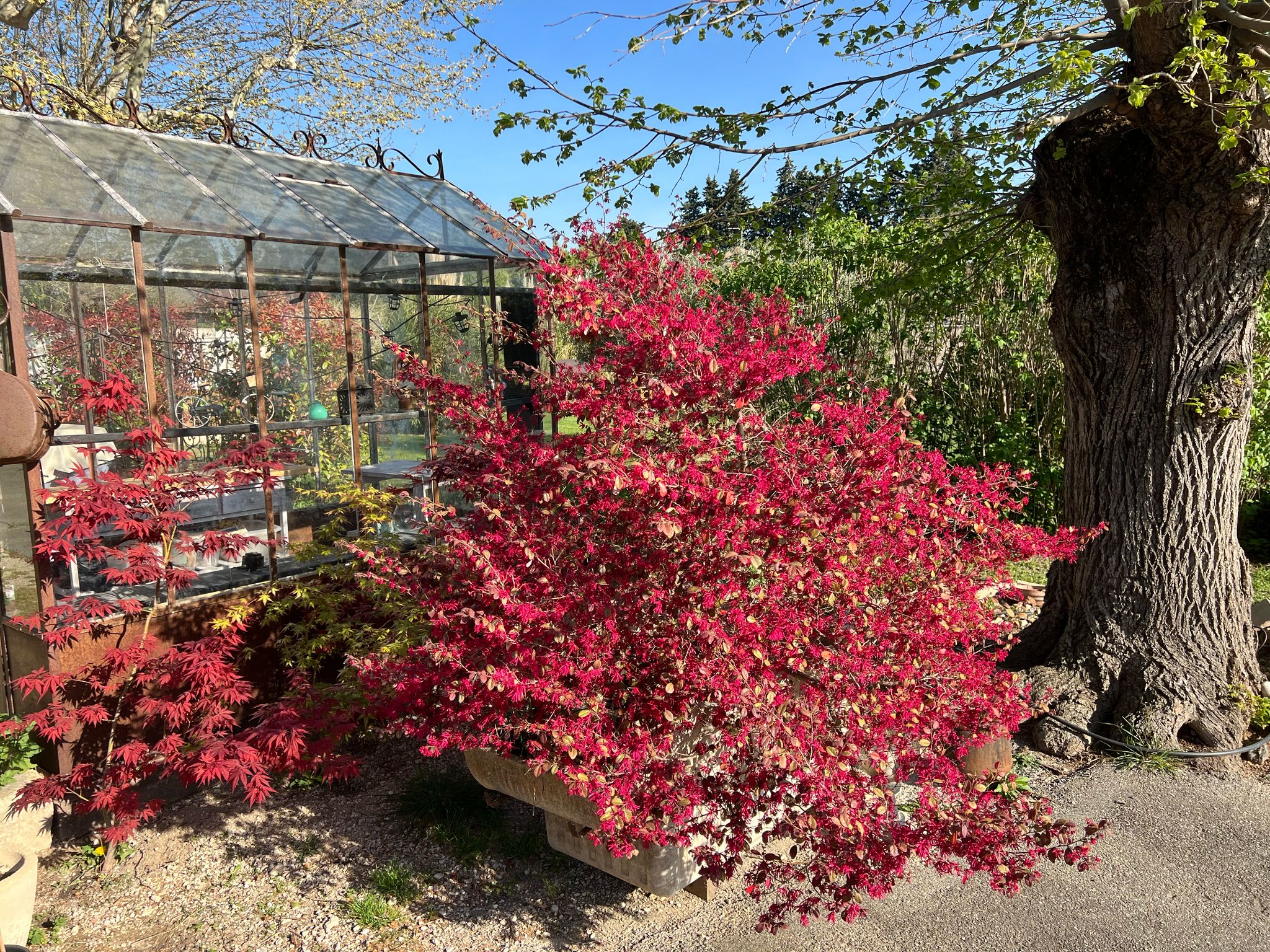 Coin détente dans le jardin